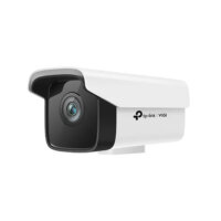 Tplink Vigi C300hp Abuja